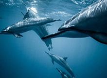 姆巴佩伤缺超级杯,皇马基地康复中|基利安·姆巴佩|曼城|西班牙|皇家马德里队|塞维利亚_新浪体育_新浪新闻